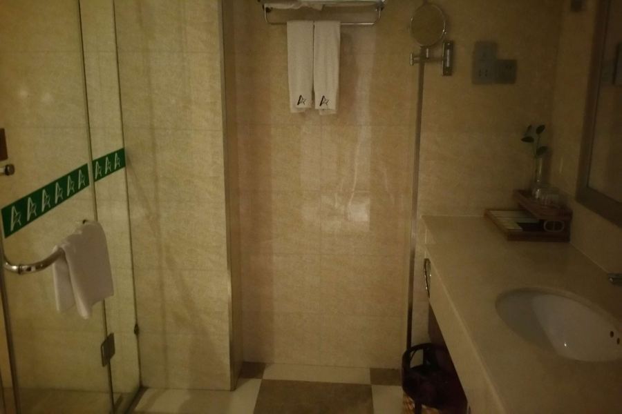 Arcadia International Hotel Cangzhou エクステリア 写真